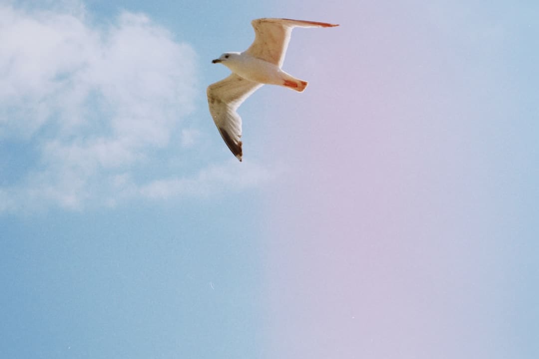 《高兴超人联盟》拓新，真人版超人觉悟——《不是吧！我变成超人了》惊喜开播